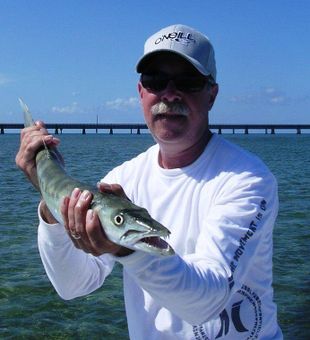 Florida Keys Fishing: Sphyraena Sphyraena 